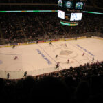 Detroit Red Wings vs Minnesota Wild