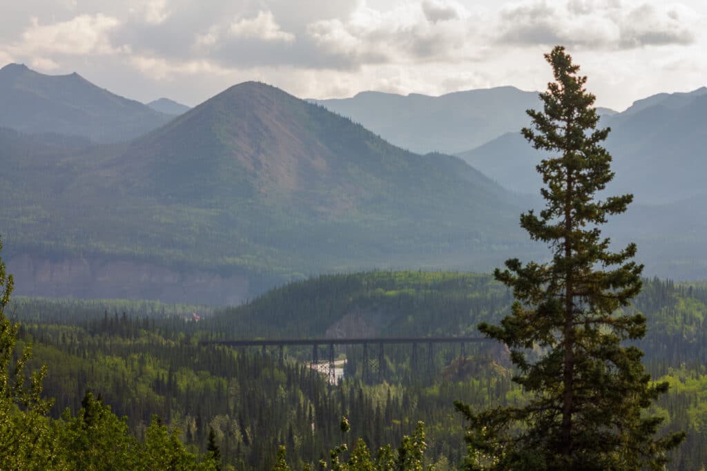 The Alaskan Railway Trestle Bridge over Hines Creek in Denali National Park.