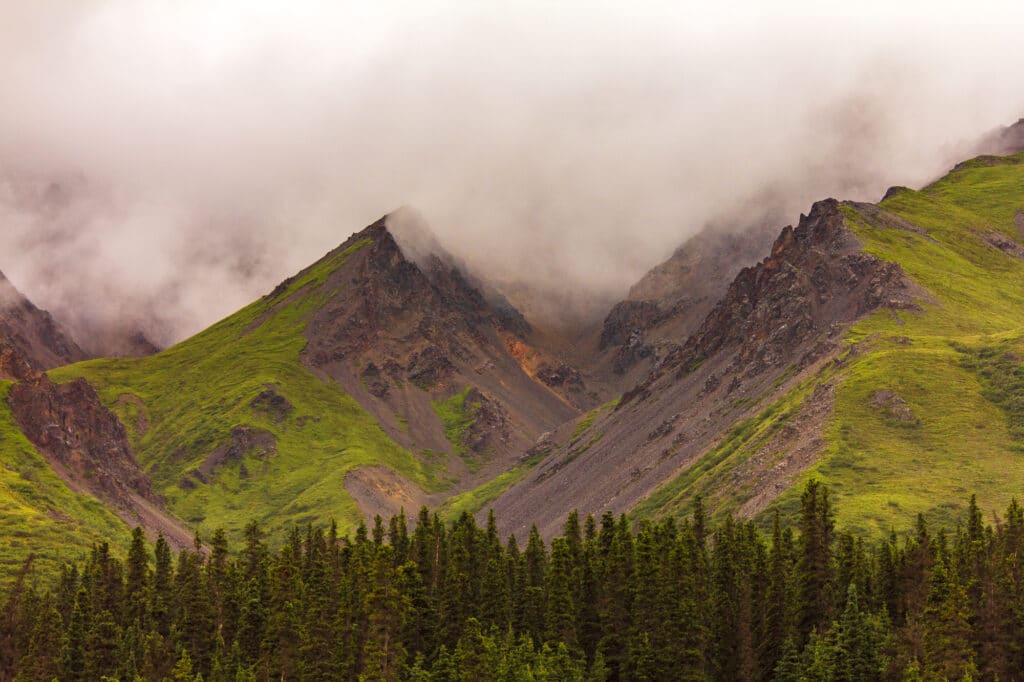 Denali National Park and Preserve