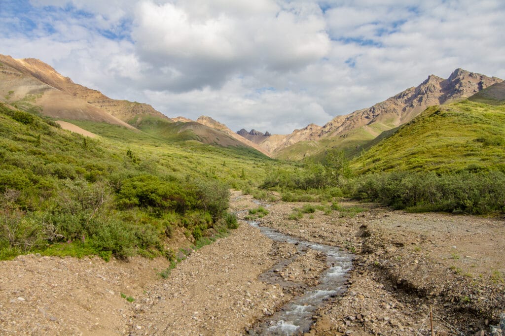 Denali National Park