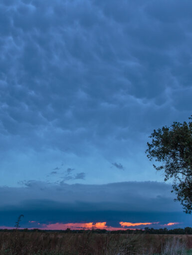 Shelf at Sunset