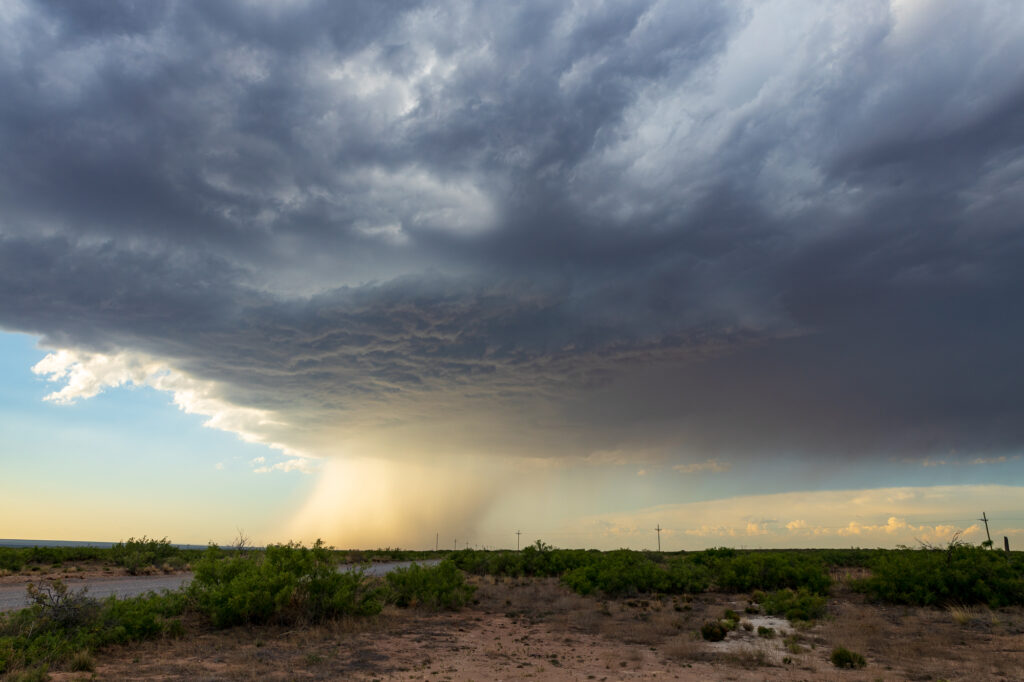 New Mexico Storm