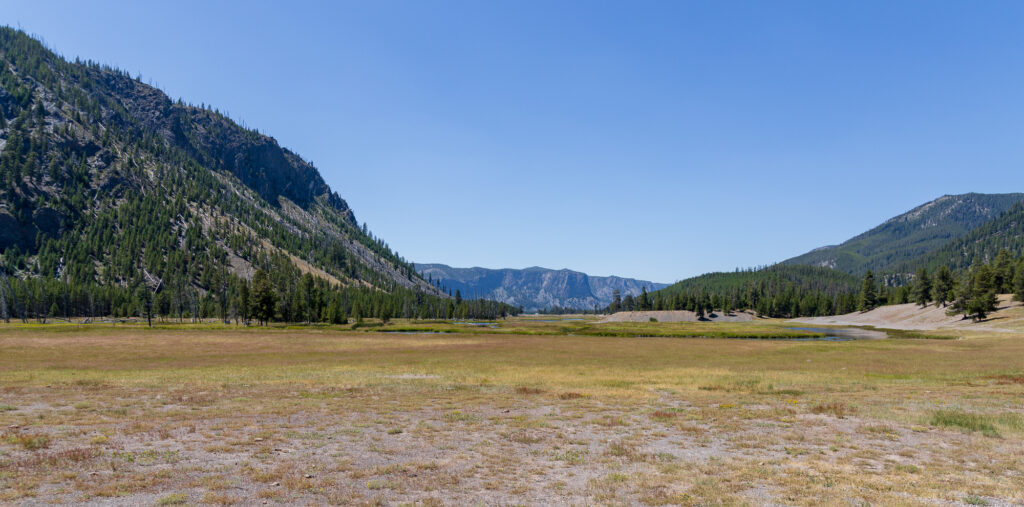 Madison River flows through Yellowstone